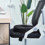 Chaise de bureau avec un coussin pour coccyx. On voit une plante verte derrière.